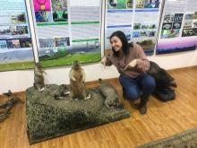 Mazzamuto poses next to taxidermied Tarbagan marmots 