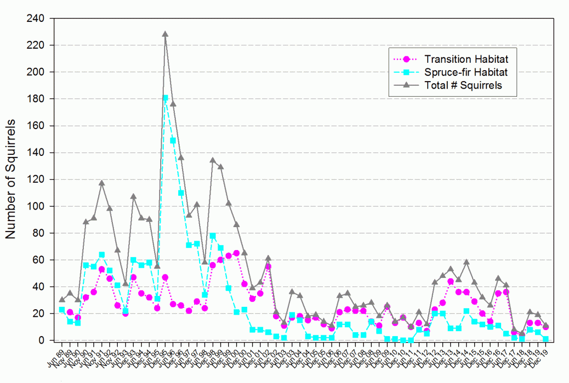 Summer and winter Mt. Graham red squirrel population size by forest community type Summer and winter Mt. Graham red squirrel population size by forest community type