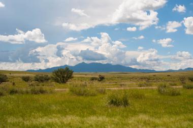 Las Cienegas National Conservation Area Las Cienegas Grassland