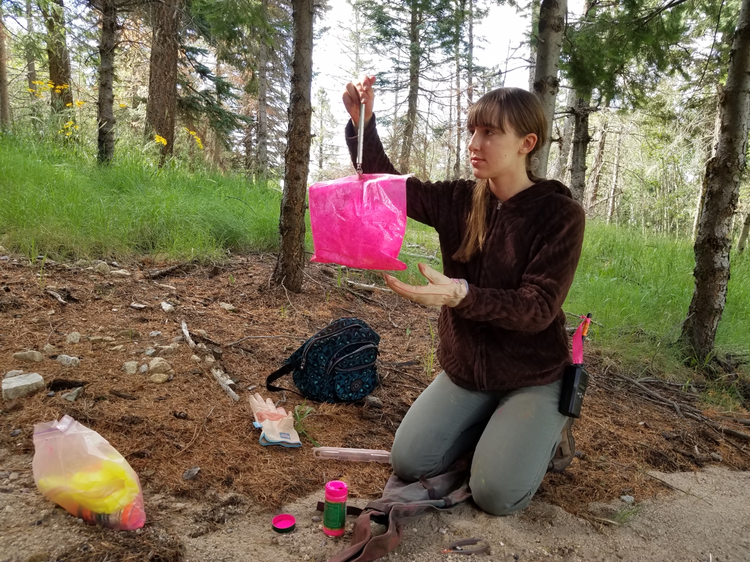 Sandy Slovikosky weighs packrat